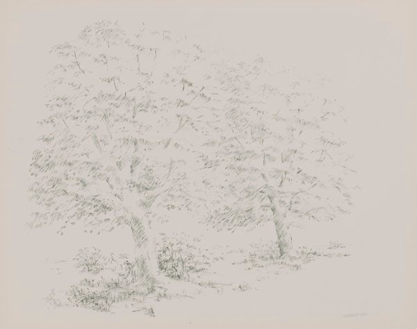 Two Trees