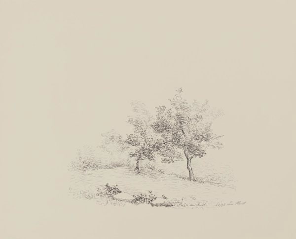 Two Trees