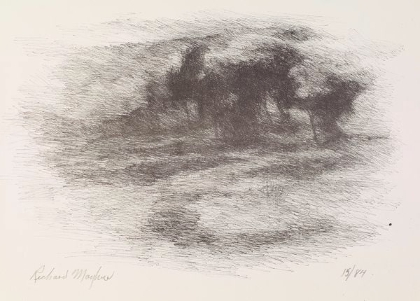 Trees Landscape