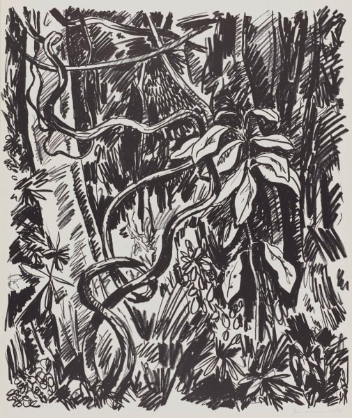 Jungle (Black)