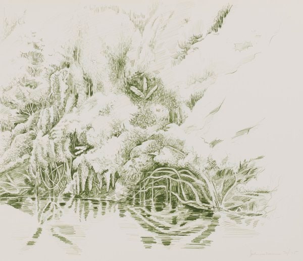 Green Jungle