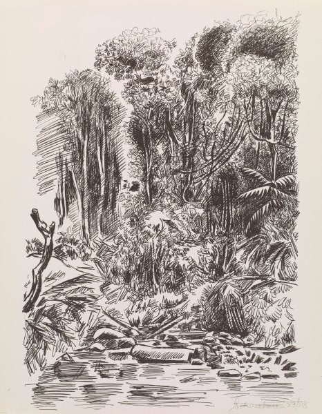 Jungle