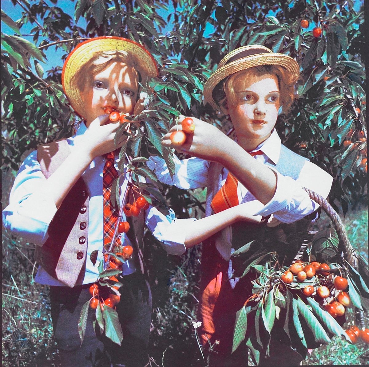 La cueillette (Fruit-Picking)