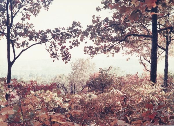 Haze in the Valley
