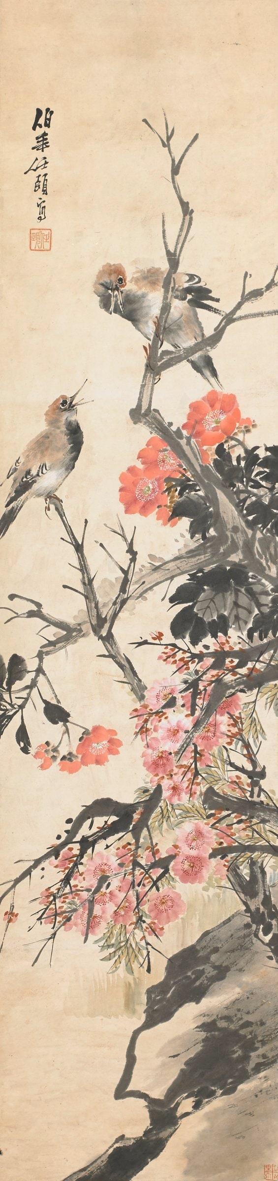 Two Chirping Magpie Birds on Blossoming Crabapple Tree Above Rock