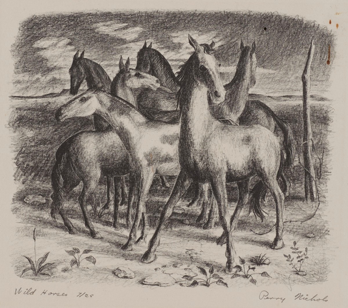 Wild Horses