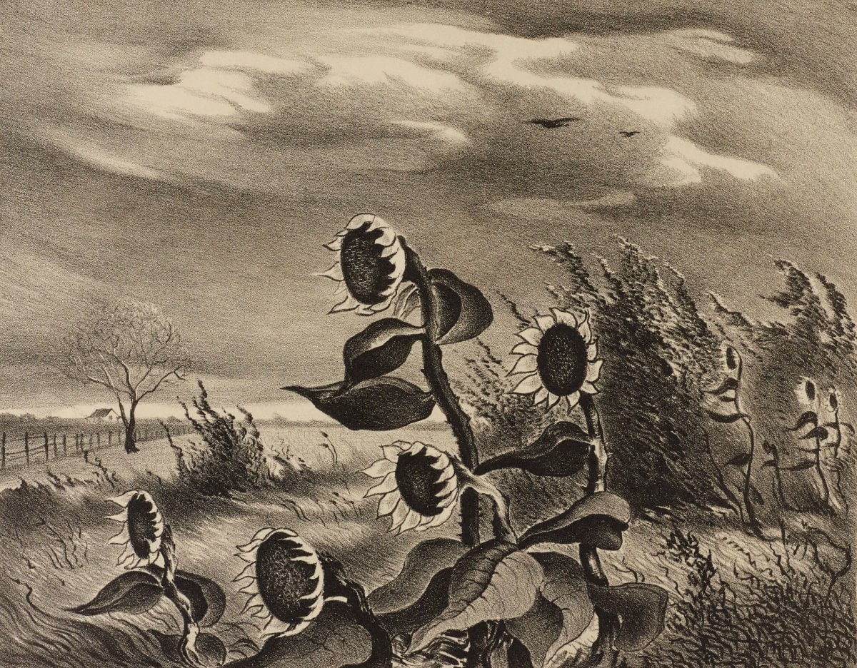Meadow Wind