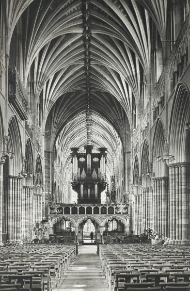 Exalted Exeter