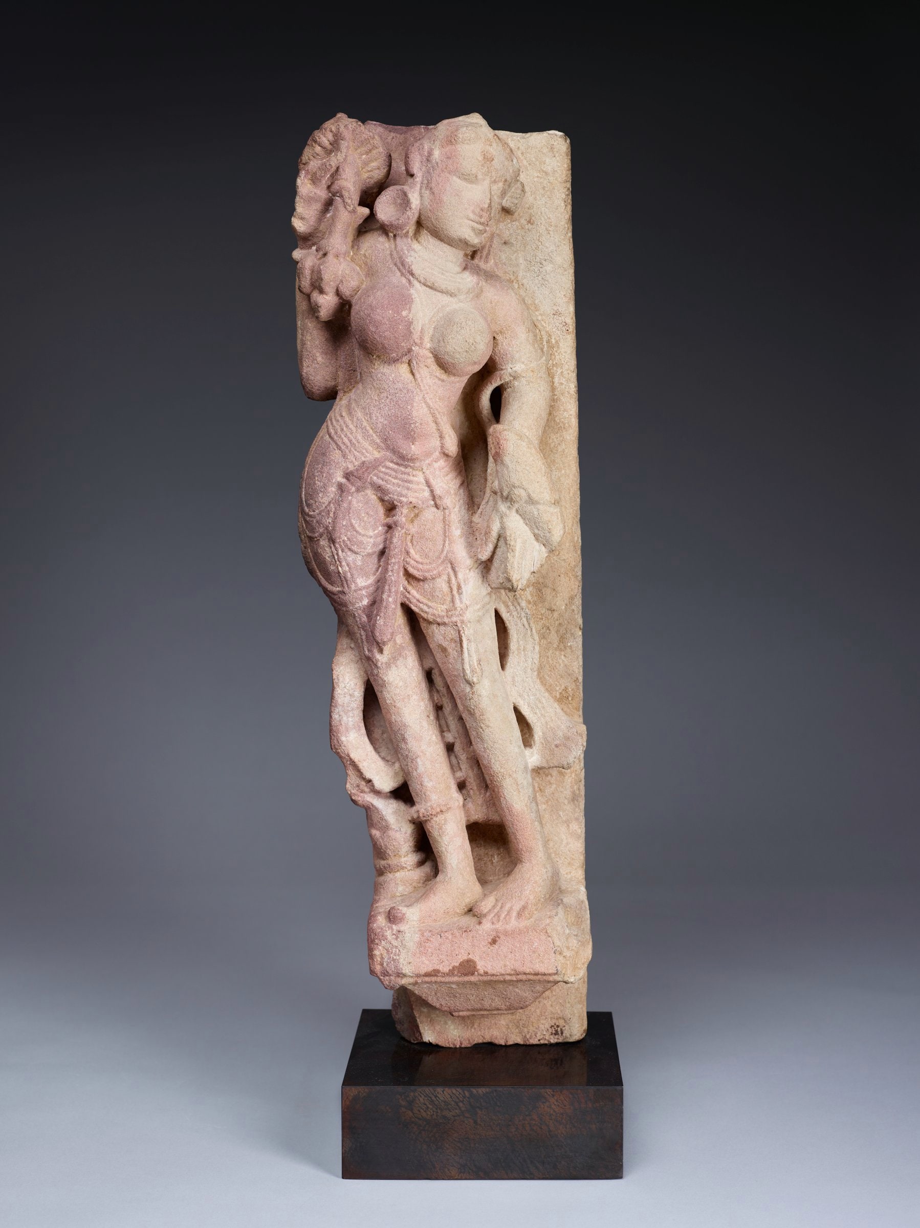 Goddess of Abundance (Salabanjika) Holding Branch of Fruiting Mangoes with a Lizard on Her Arm, Revered in Animism, Buddhism, Hinduism, Jainism, and Sikhism