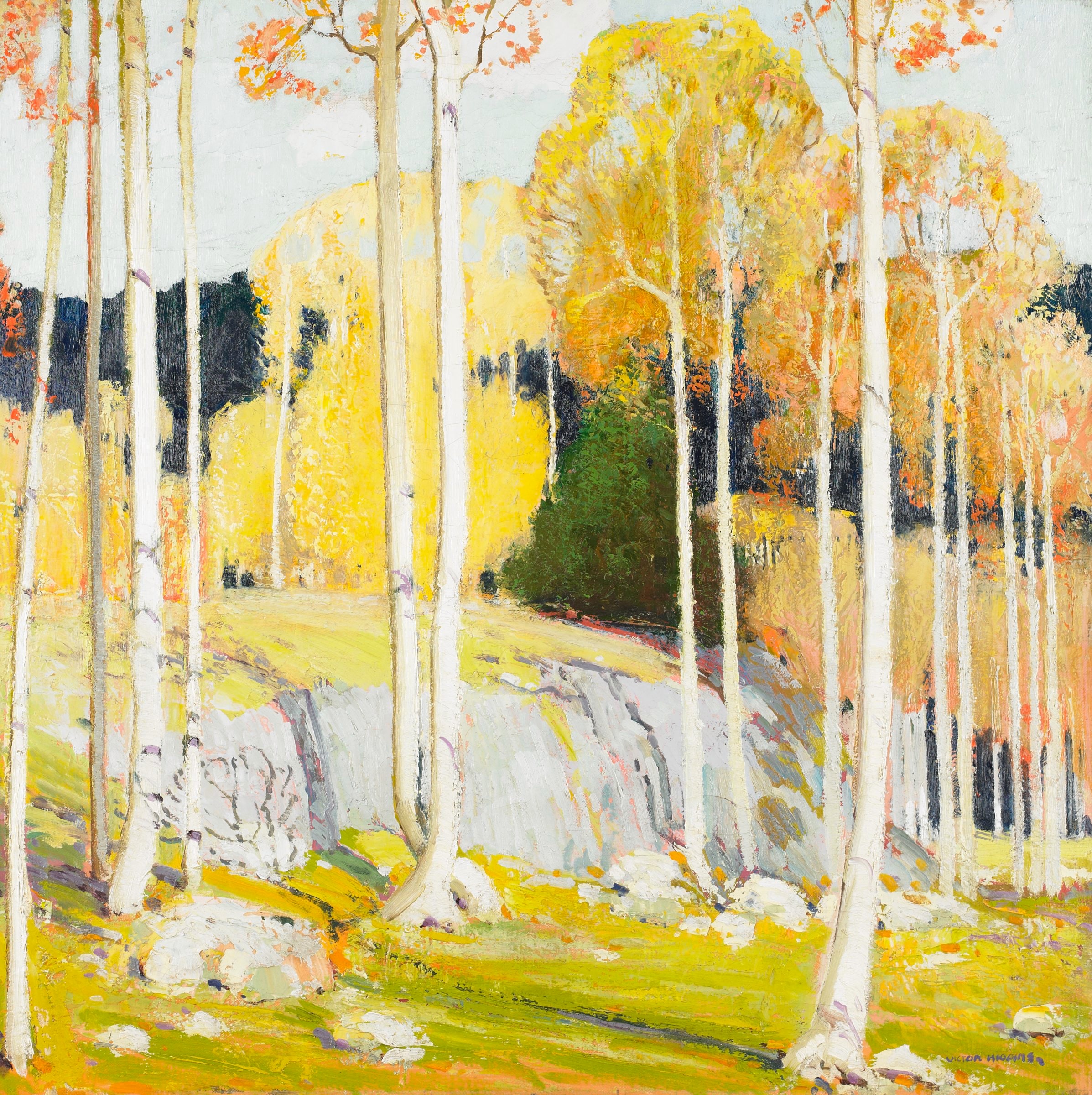 Aspen Forest