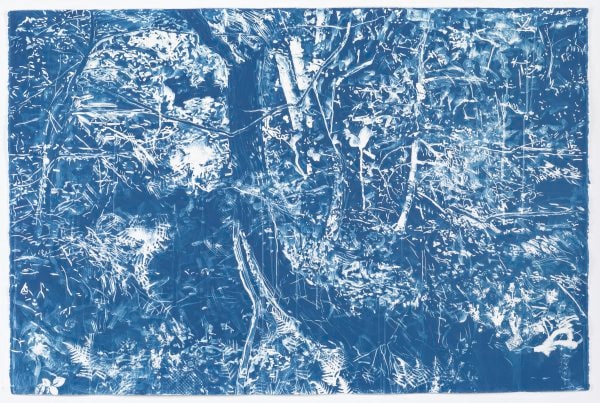 Understory