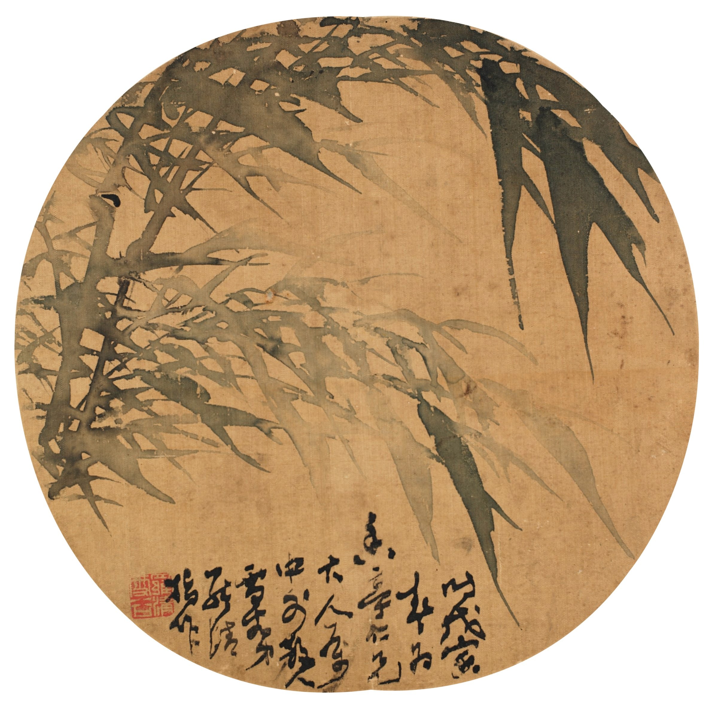 Bamboo