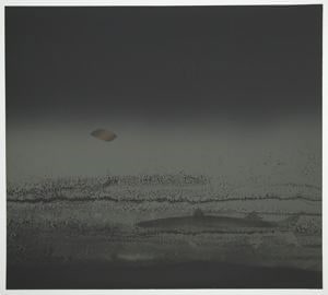 American Gamefish II