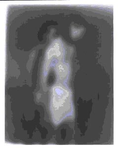 Songs of Sentient Beings #1138