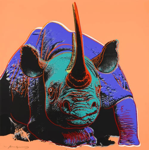 Black Rhinoceros
