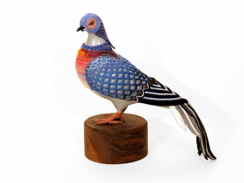 Biodiversity Suits for Urban Pigeons: Passenger Pigeon II