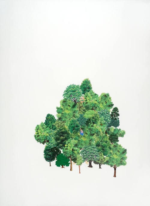 Woods