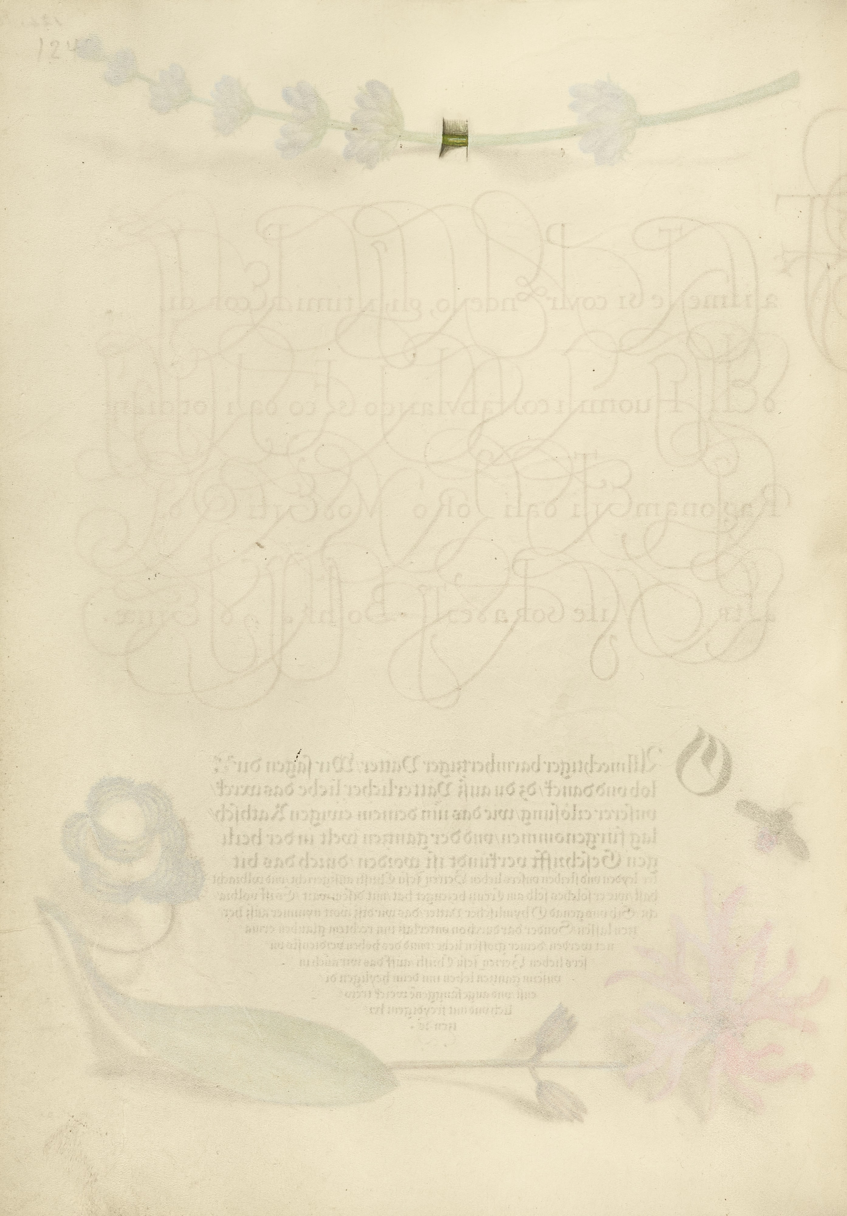 Trompe l'Oeil Stem of a Hyssop