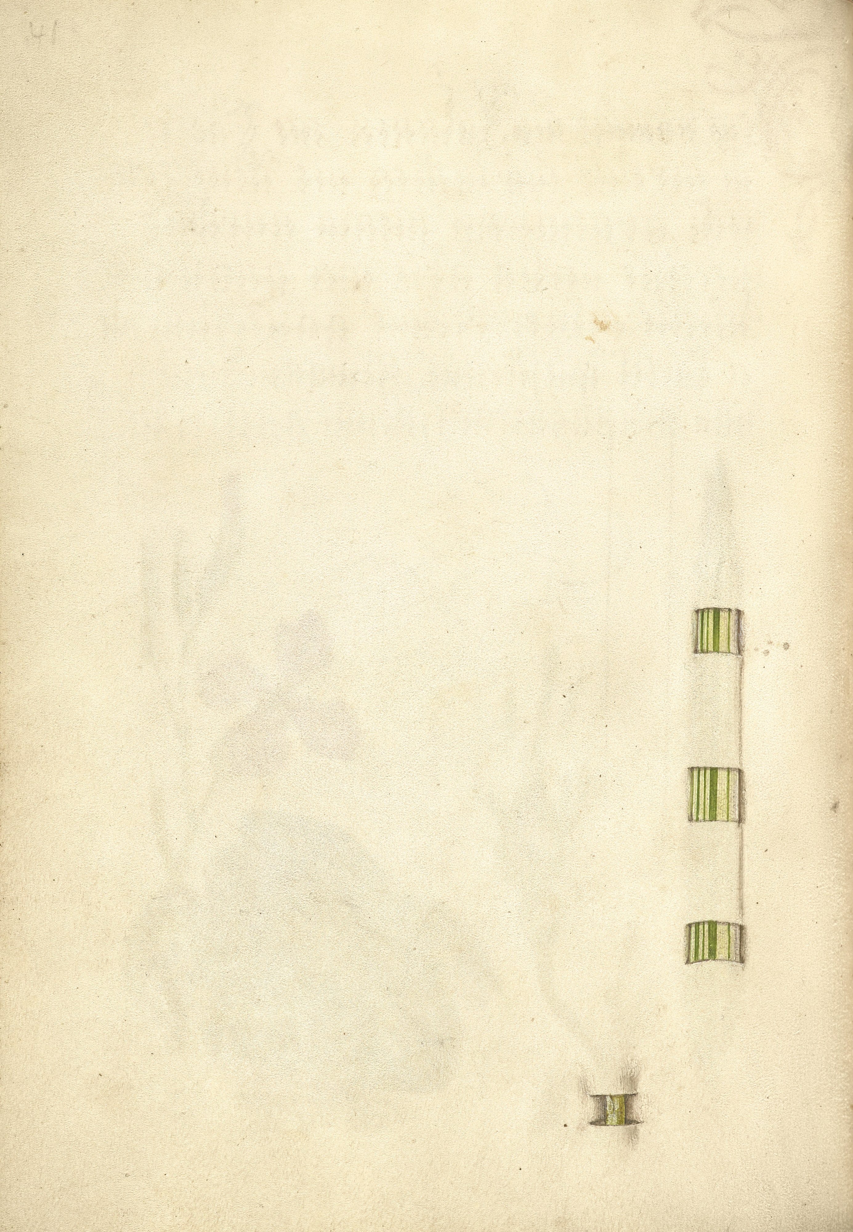 Trompe l'Oeil Blade of Reed Grass and Stem of a French Rose