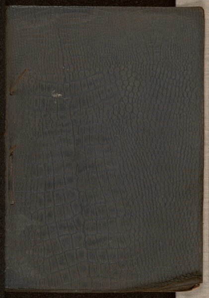 [Homemade album of sea birds]