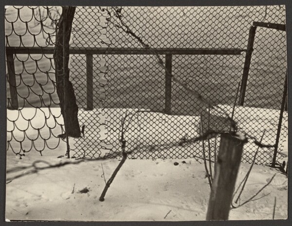 [Snowy ground]