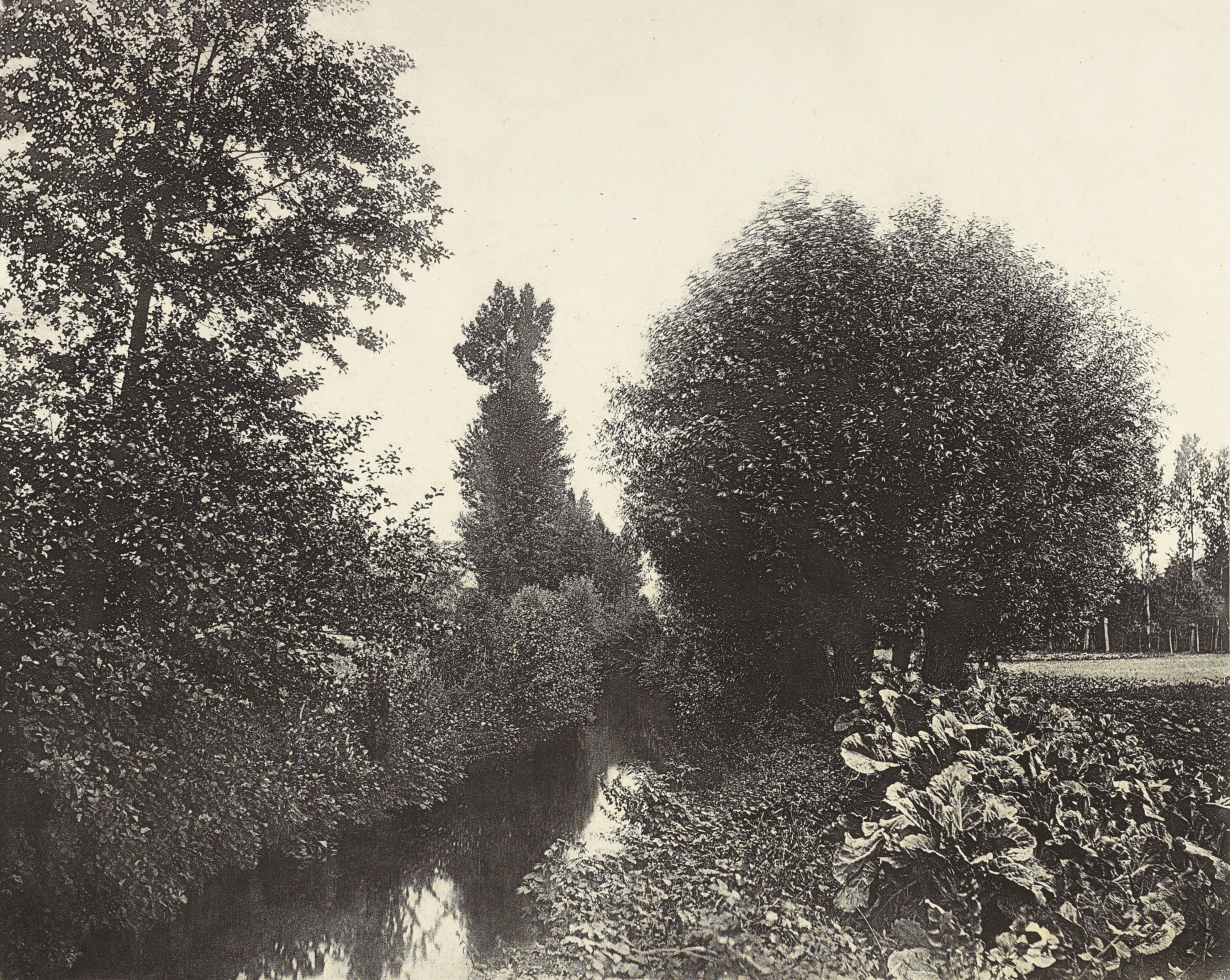 Banks of the Loire (Bords du Loir).
