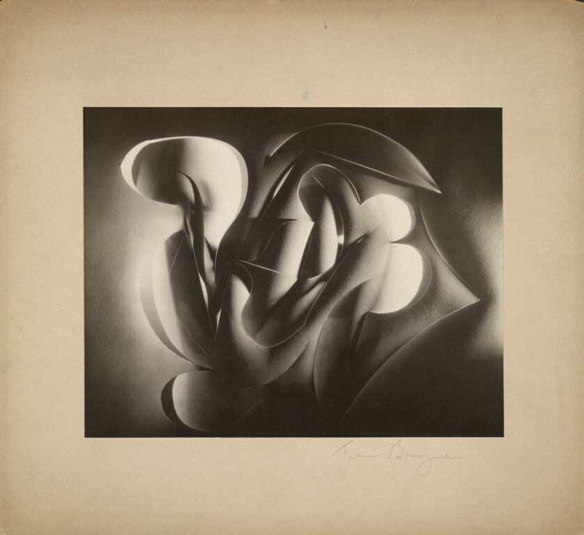 [Cut-paper abstraction]