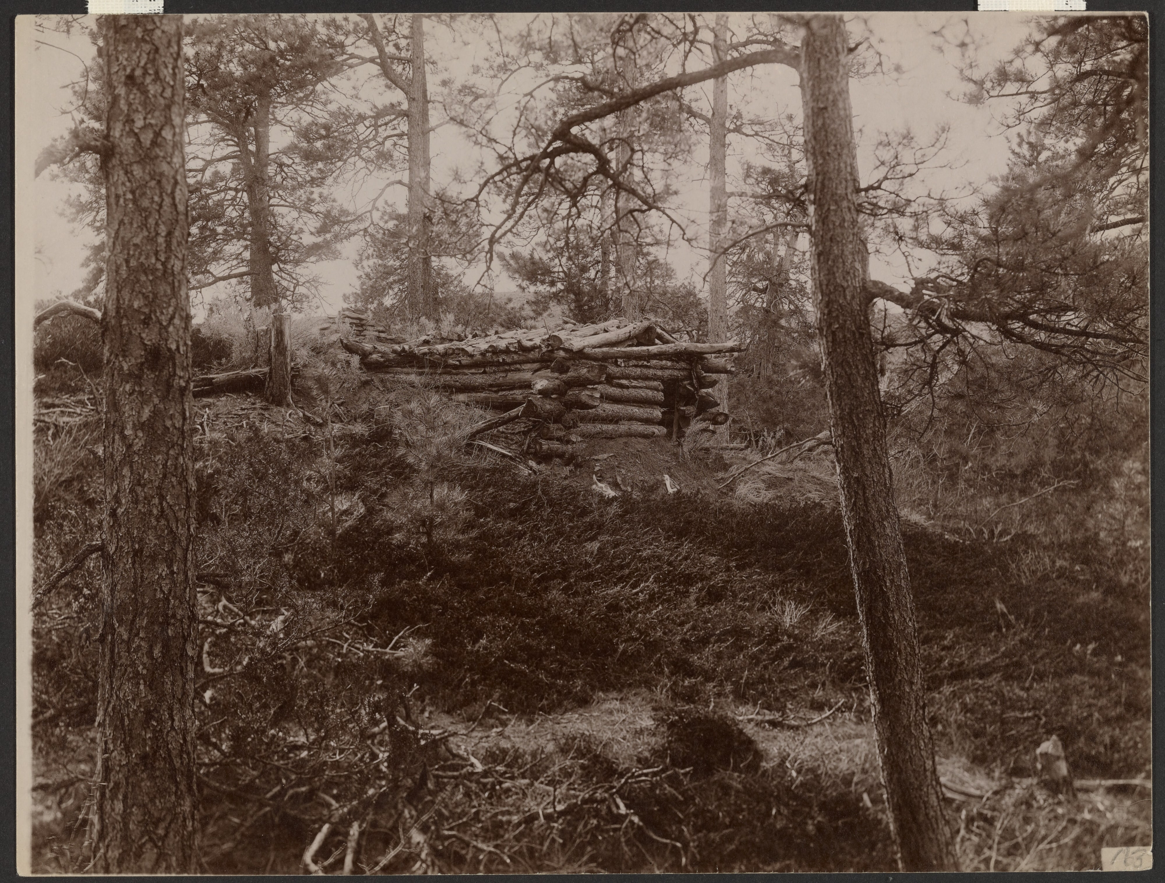 [Old Buffalo Hunters Camp.  A Relic of the Seventies]