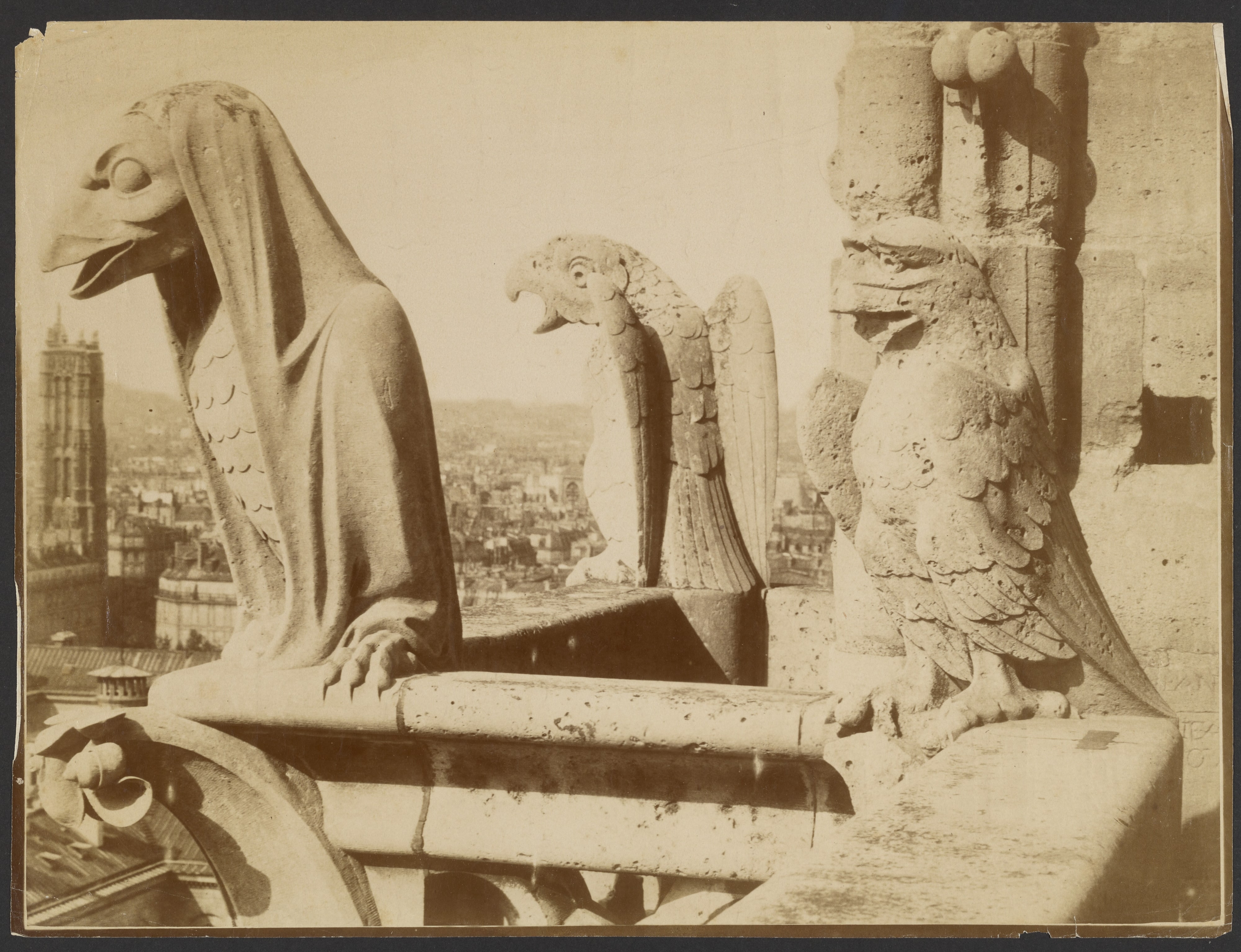 [Gargoyles, Notre-Dame, Paris]