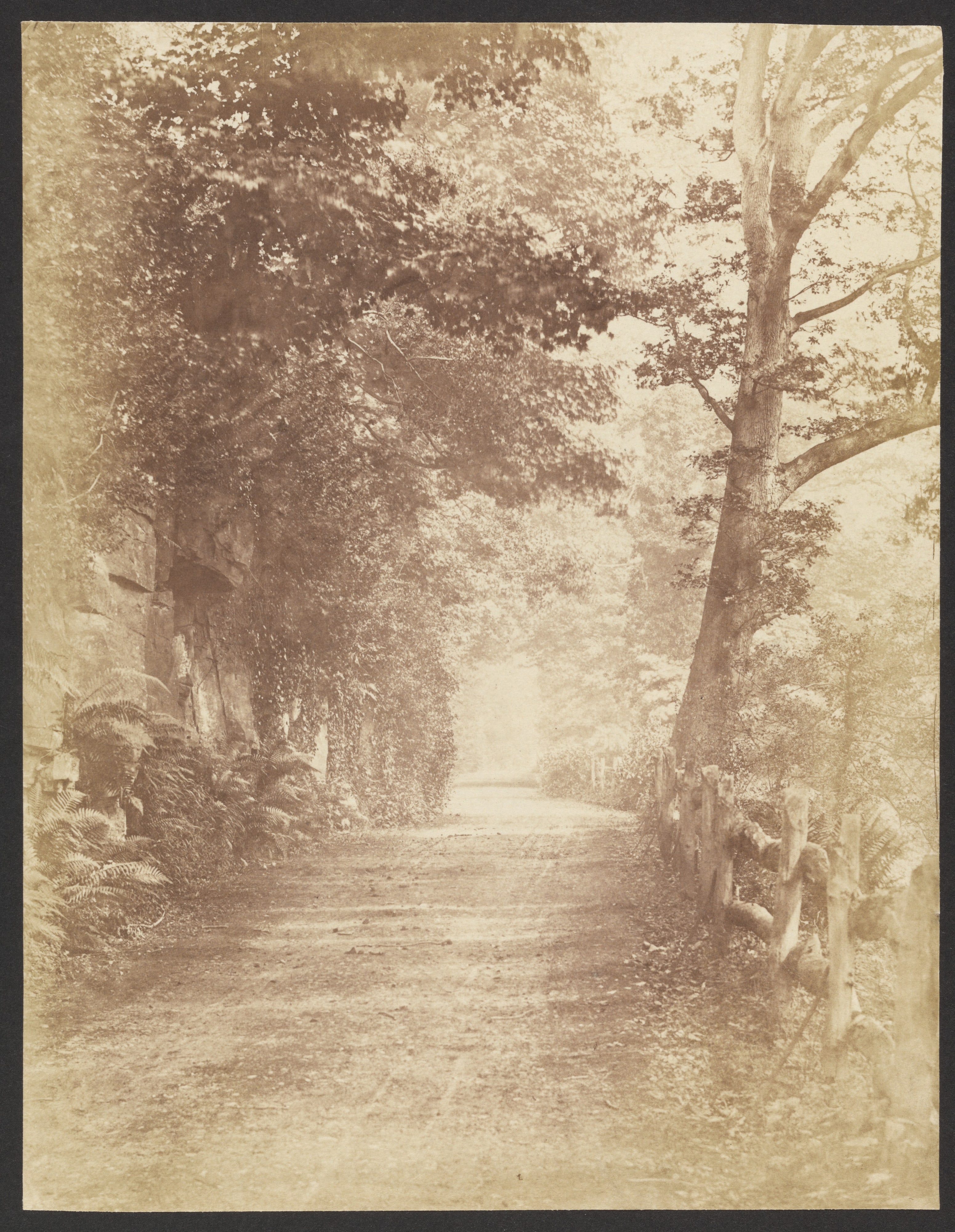 [Country Road]