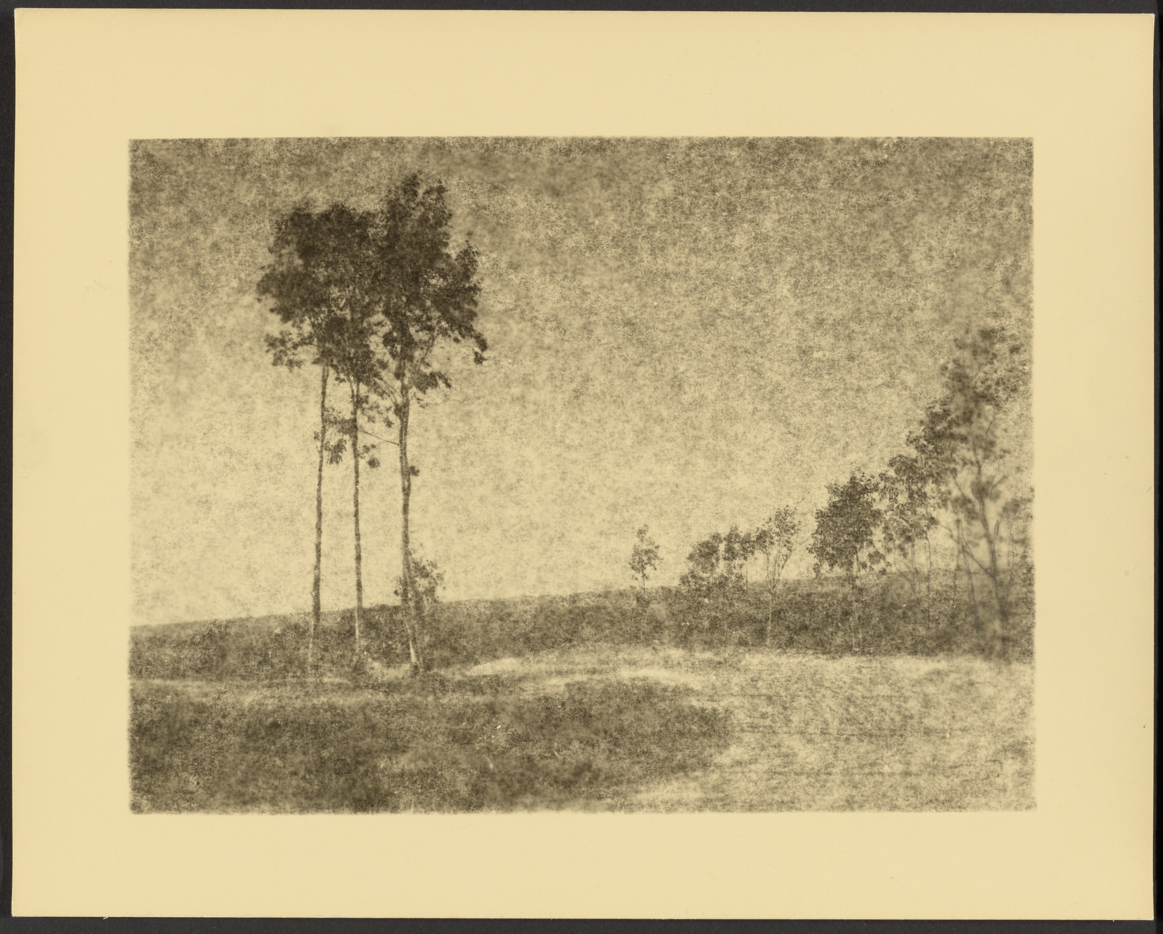 [Landscape]