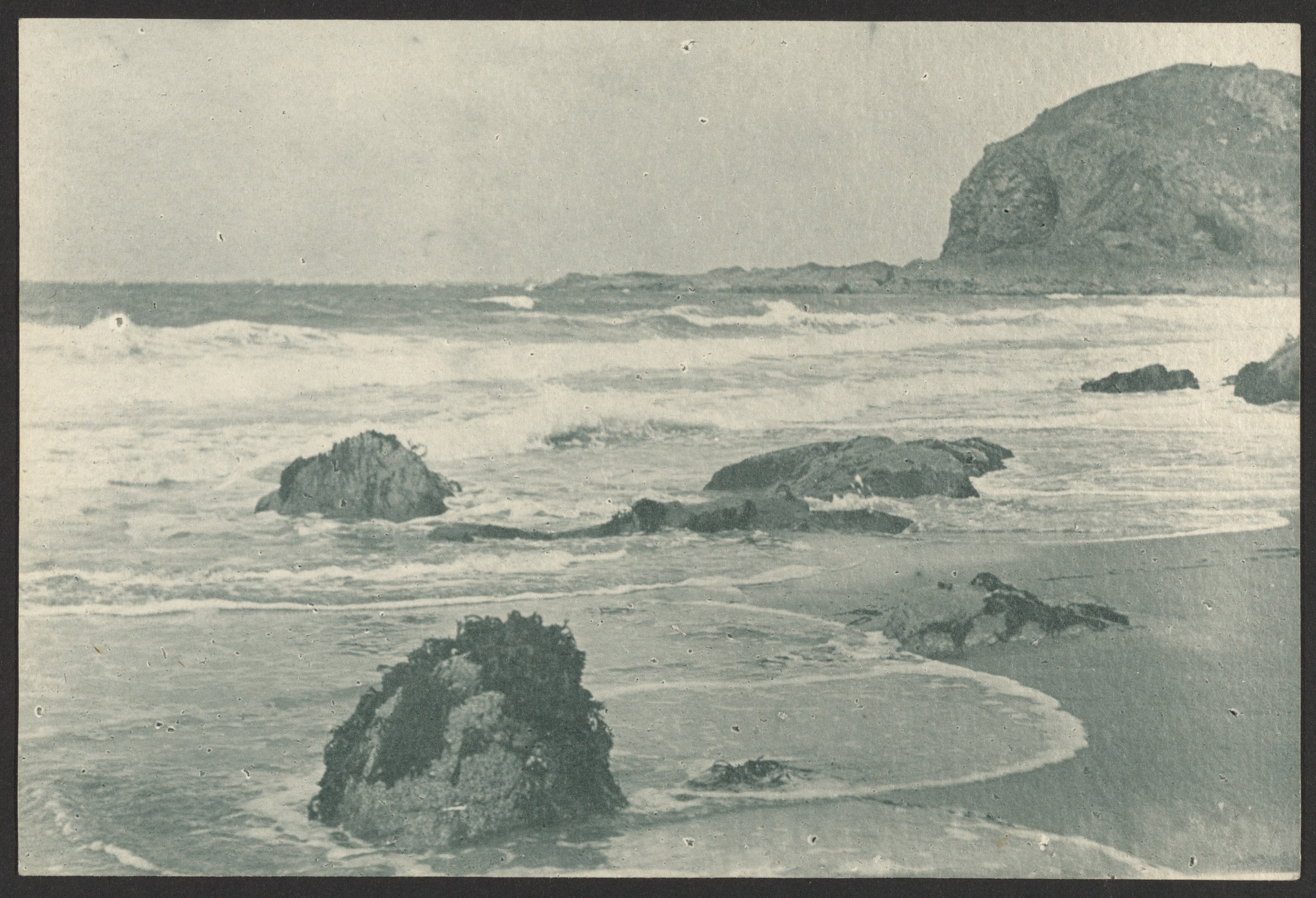 [Seascape]