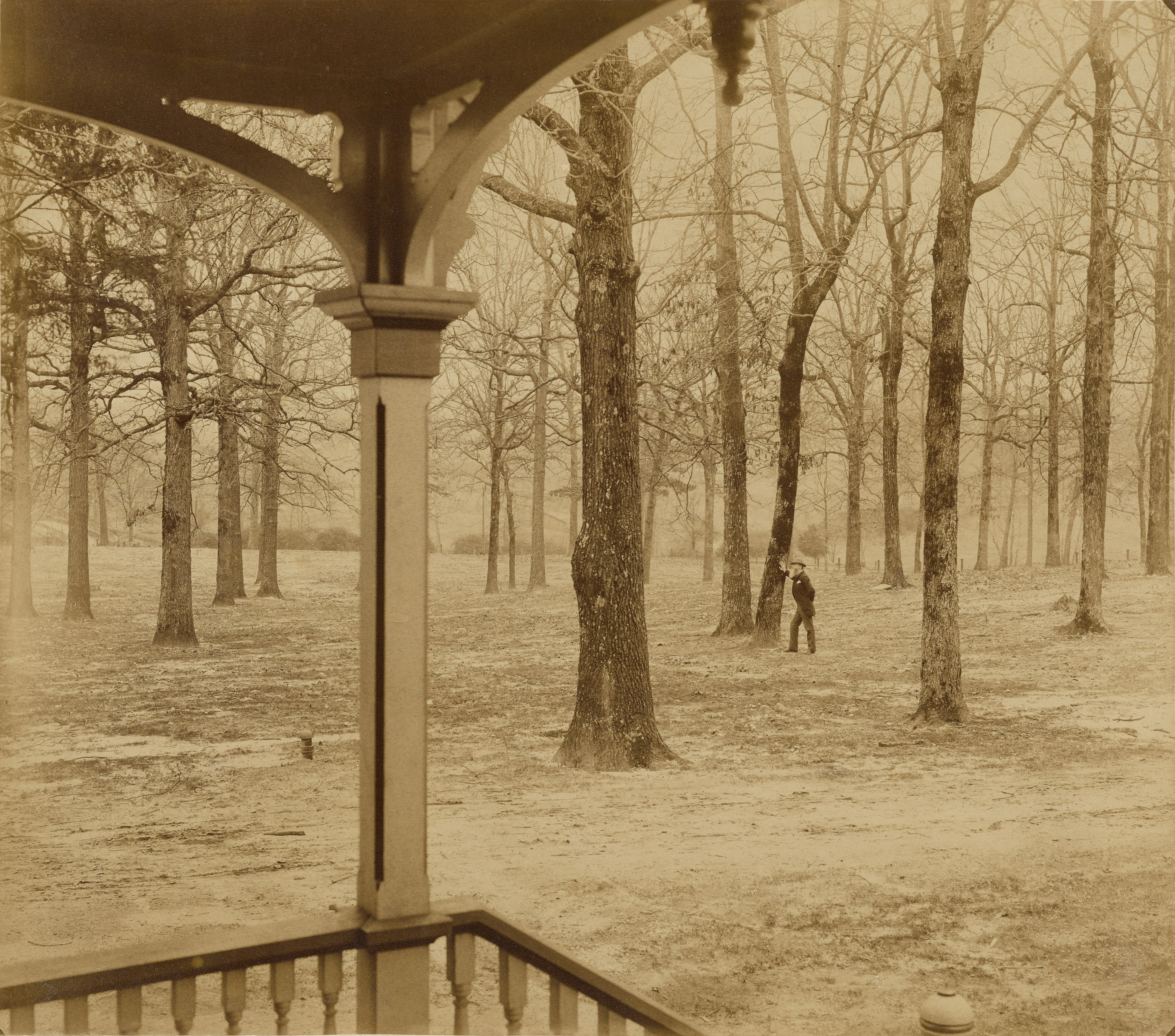 [Landscape with Portrait of Alfred R. Waud]
