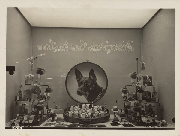 Storefront window with August Sander photograph of a dog [Untitled]