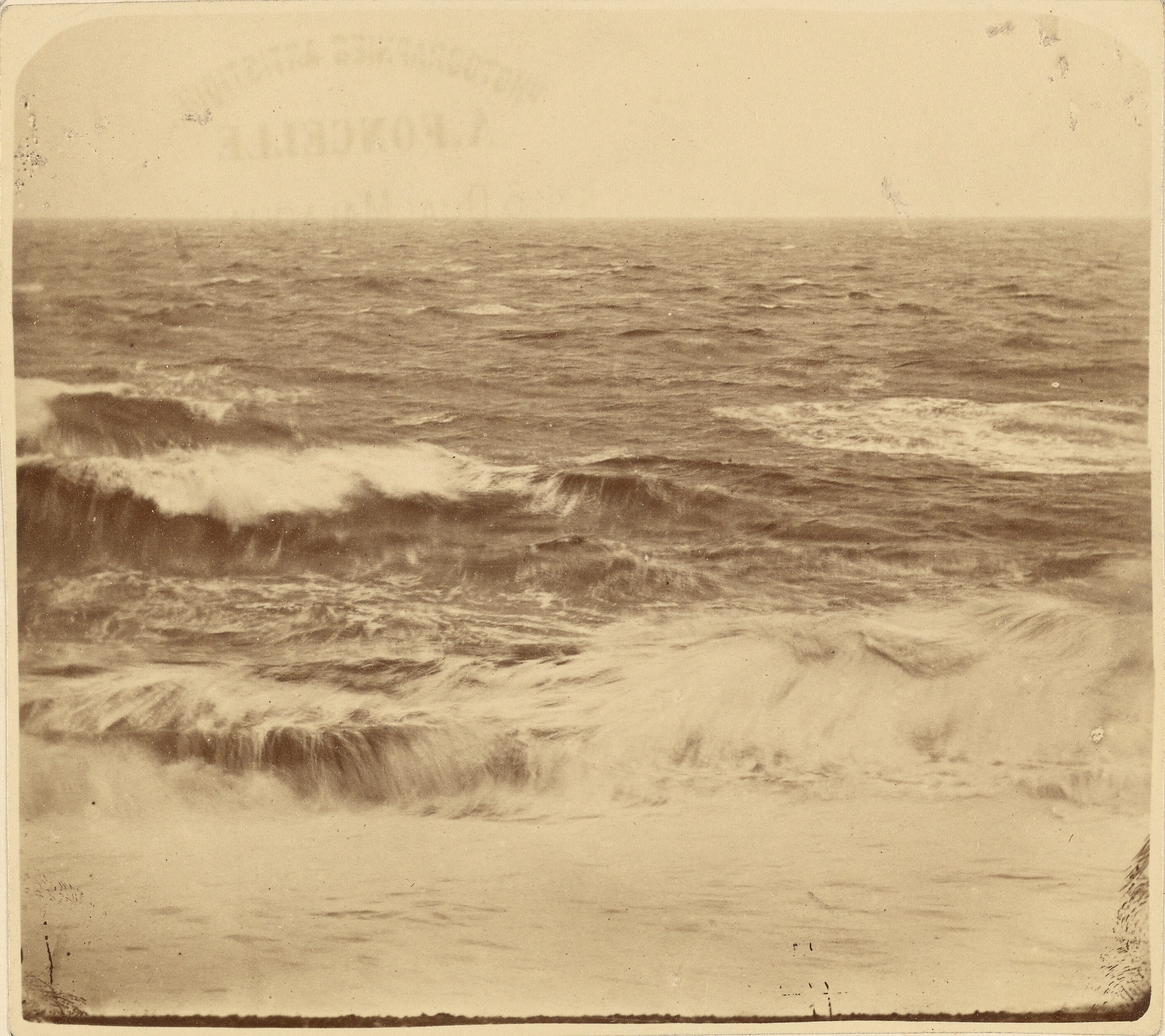 [Waves]