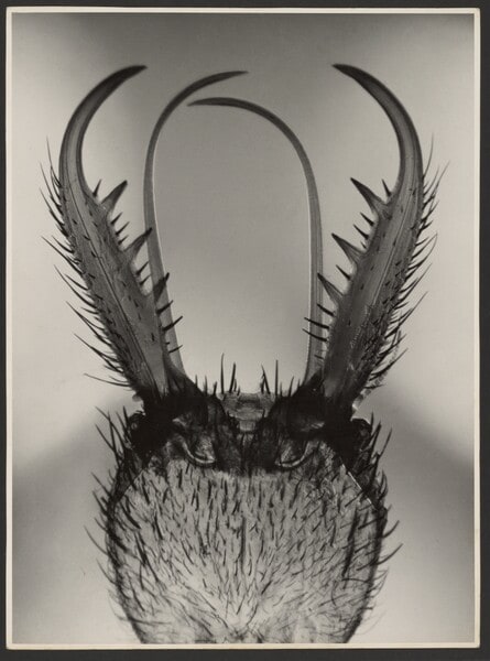 Symbolic Form: Attack