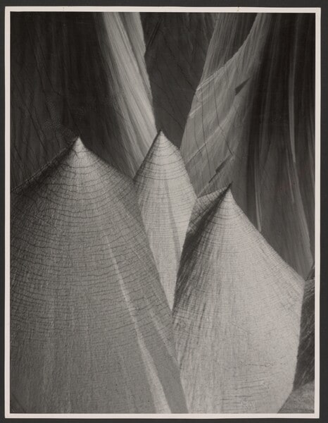 Crystals of Hippuric Acid