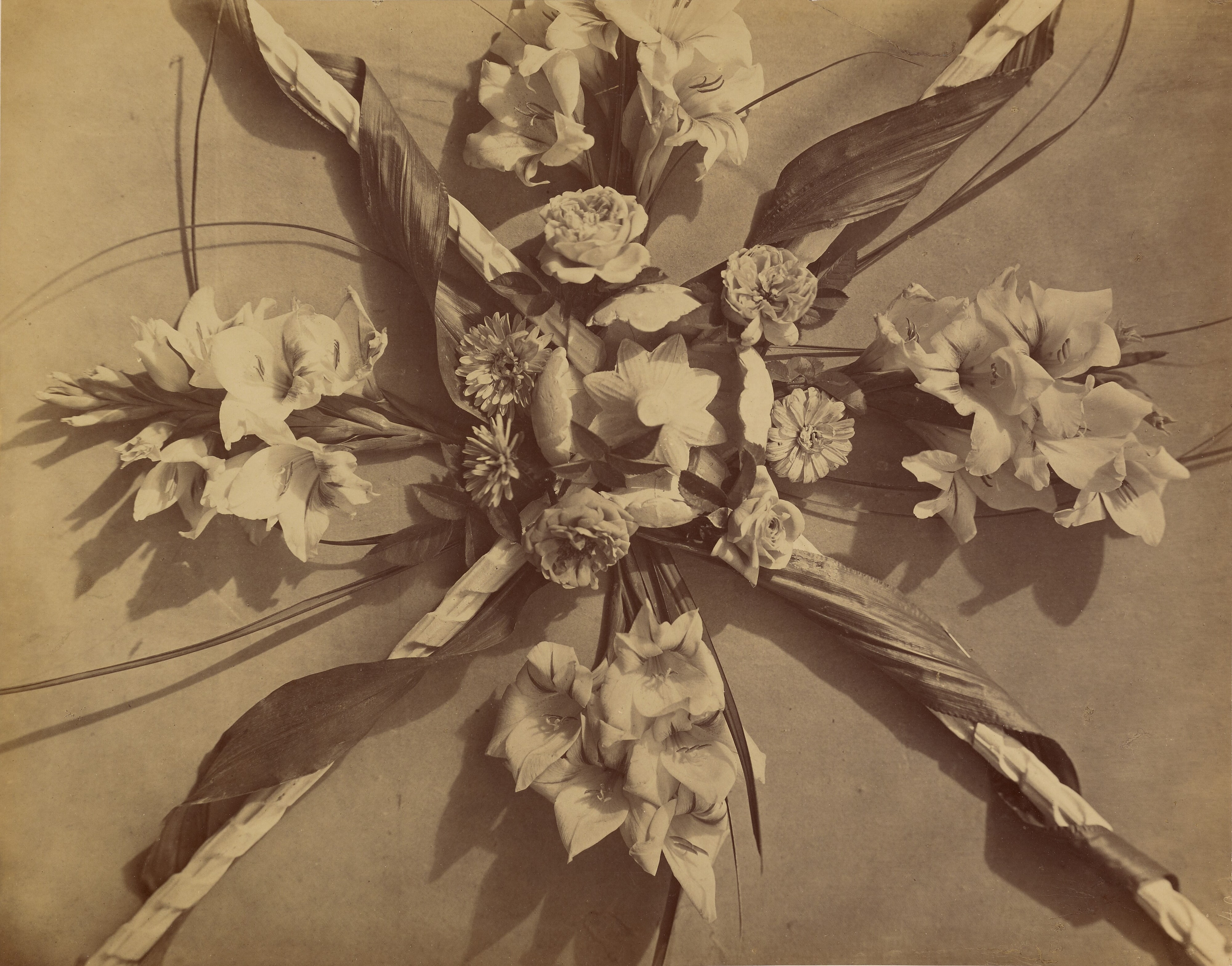 [Still Life Arrangement]