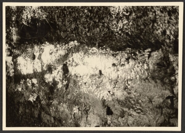 [Light Patterns on a Stream]
