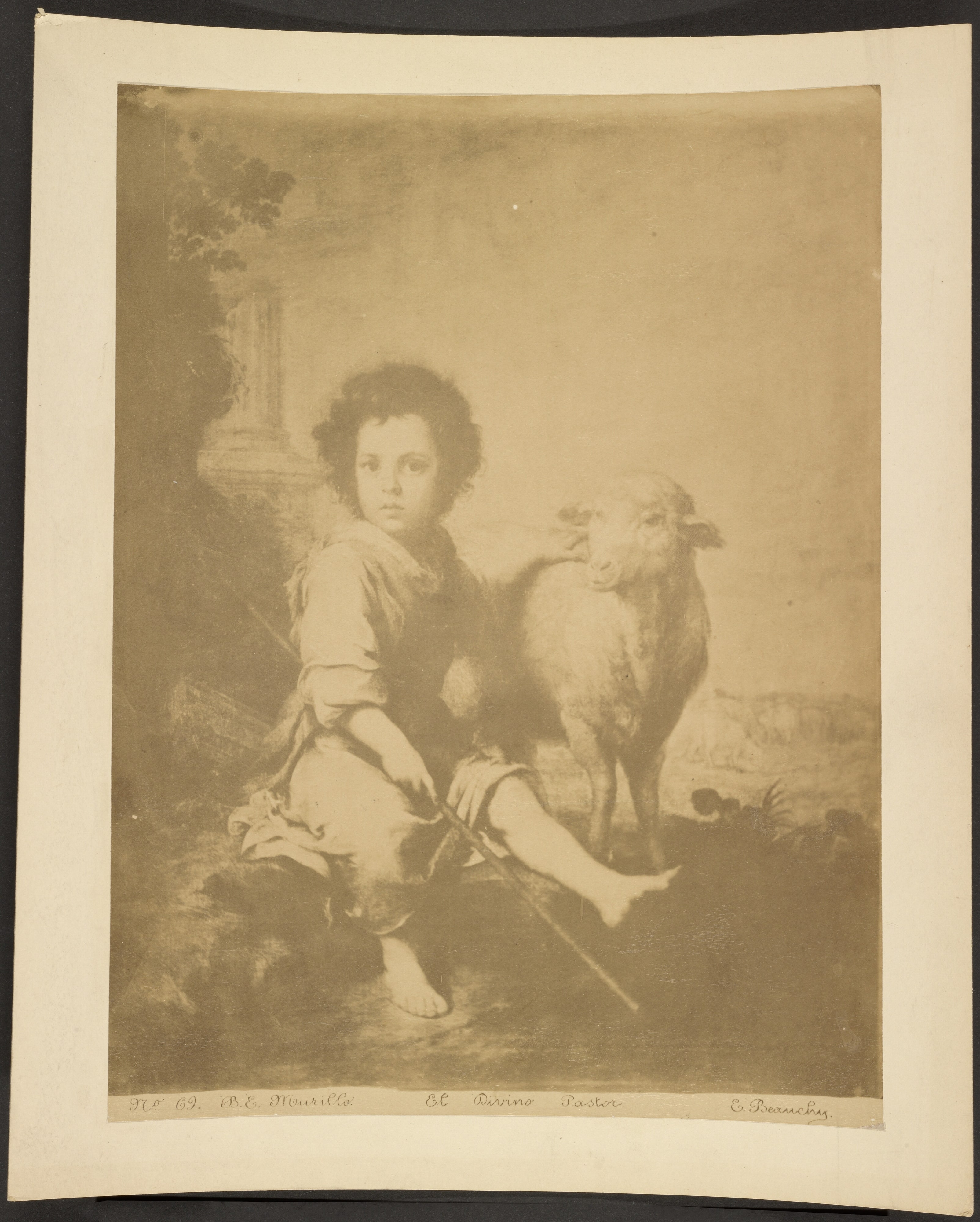 [The Holy Shepherd by Murillo (El Divino Pastor por Murillo)]