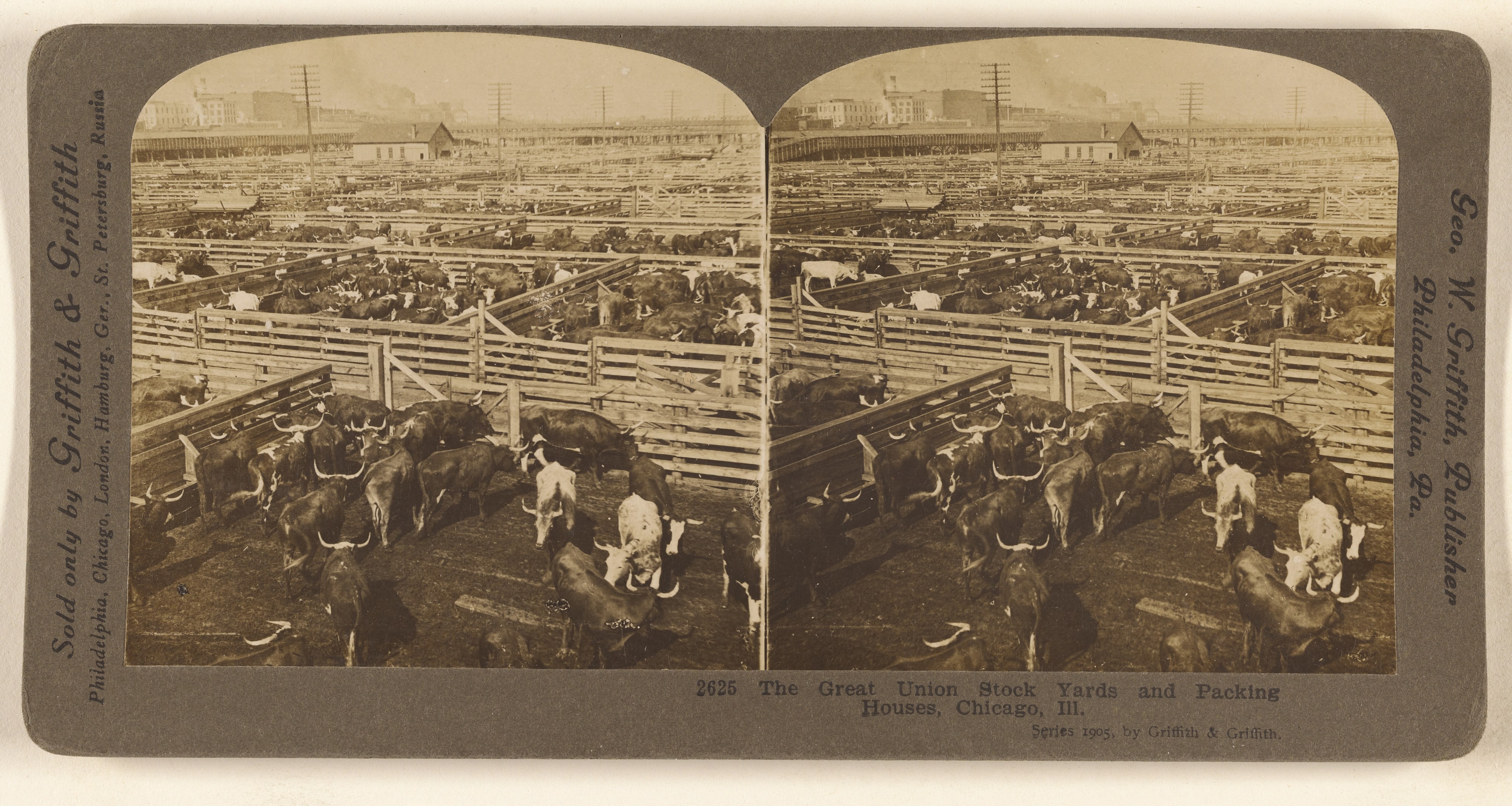 The Great Union Stock Yards and Packing Houses, Chicago, Ill.