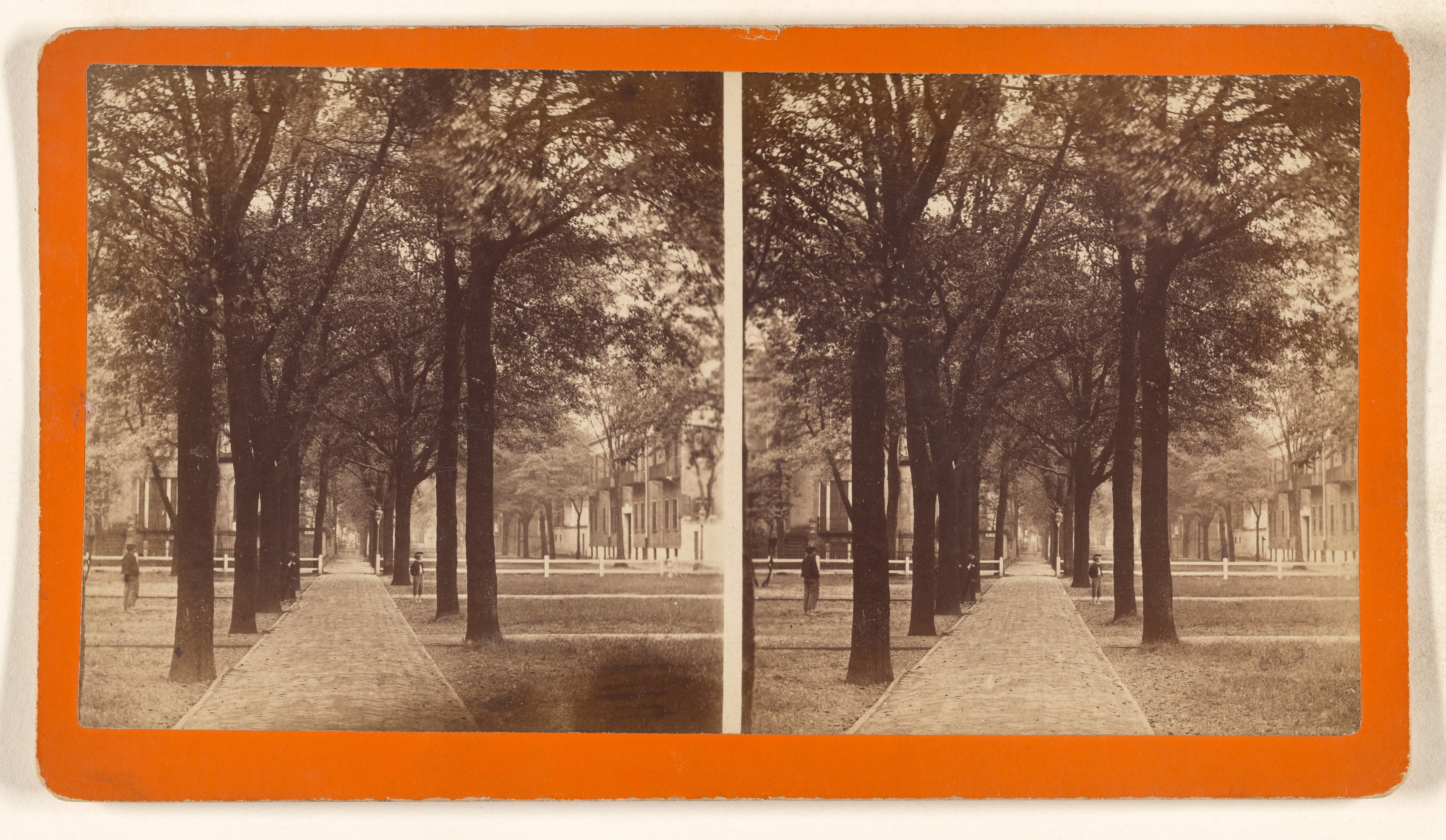 Bull Street, from Madison Square.