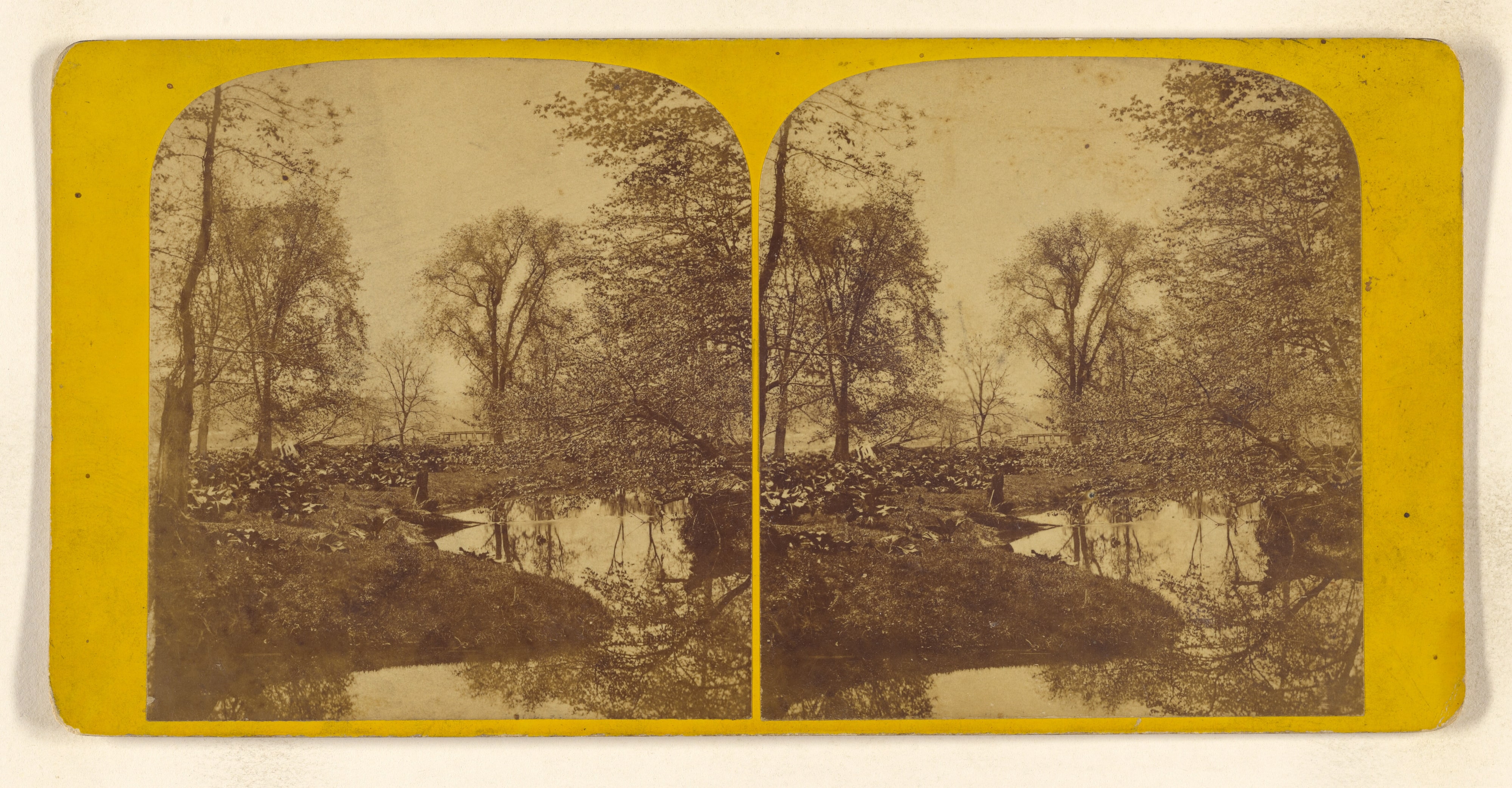 Study at the head of Cayuga Lake, Ithaca. [New York]
