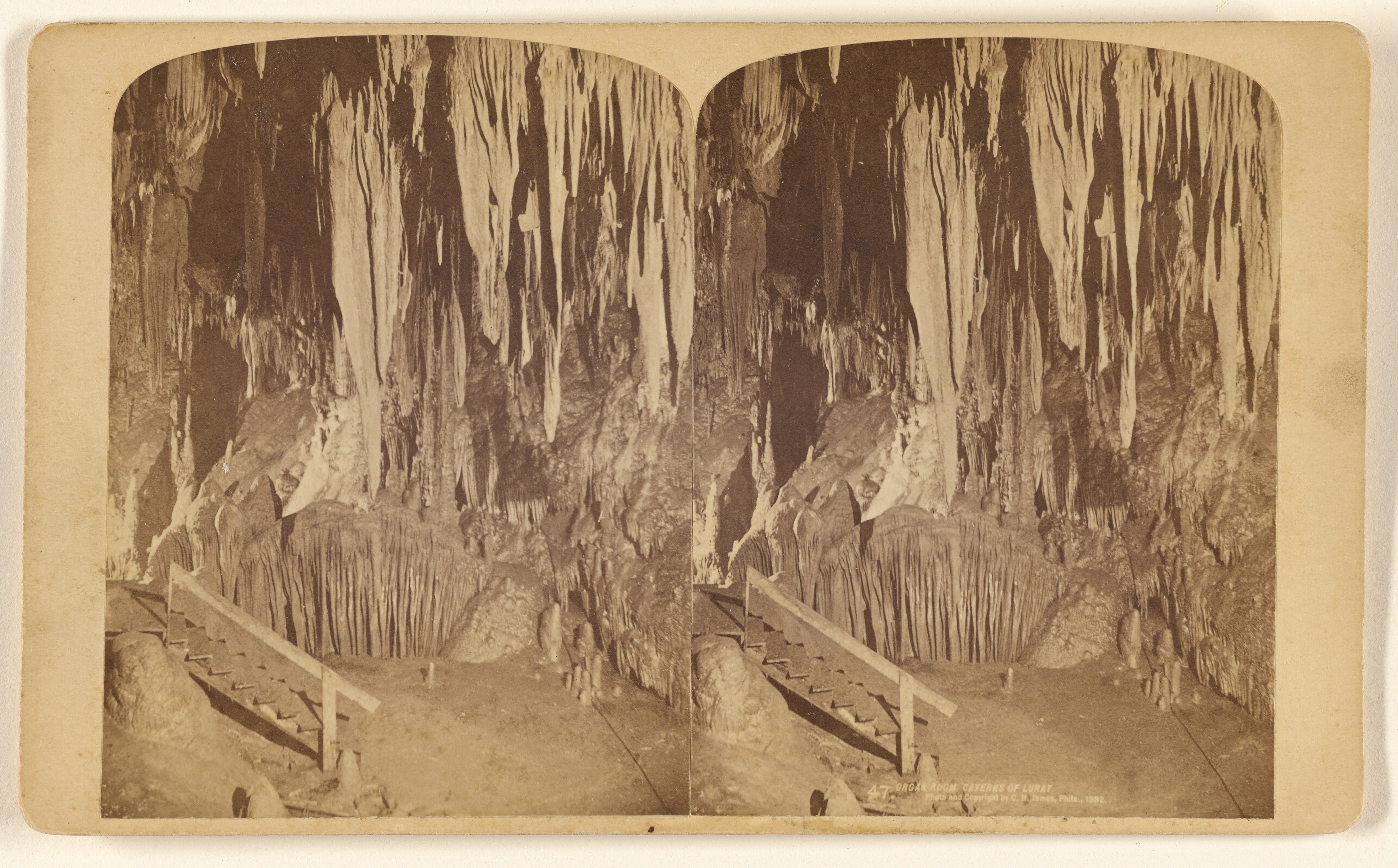 Organ Room, Caverns of Luray [Virginia]