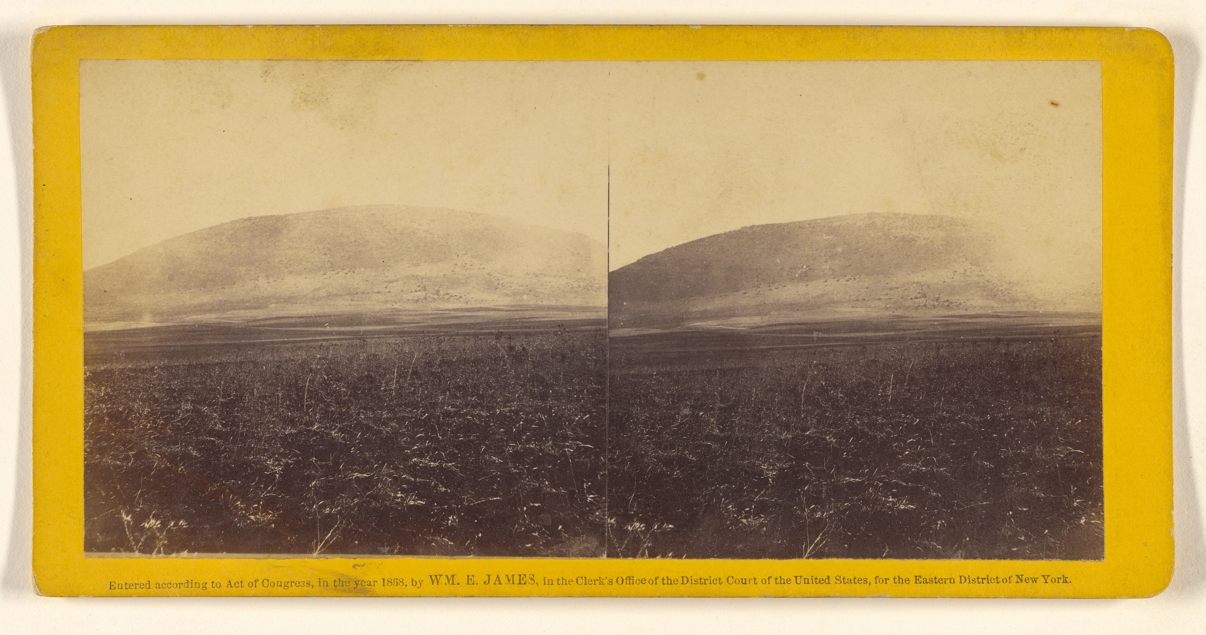 Mt. Tabor. From the valley of Esdrelon, looking north. On it the transfiguration took place.