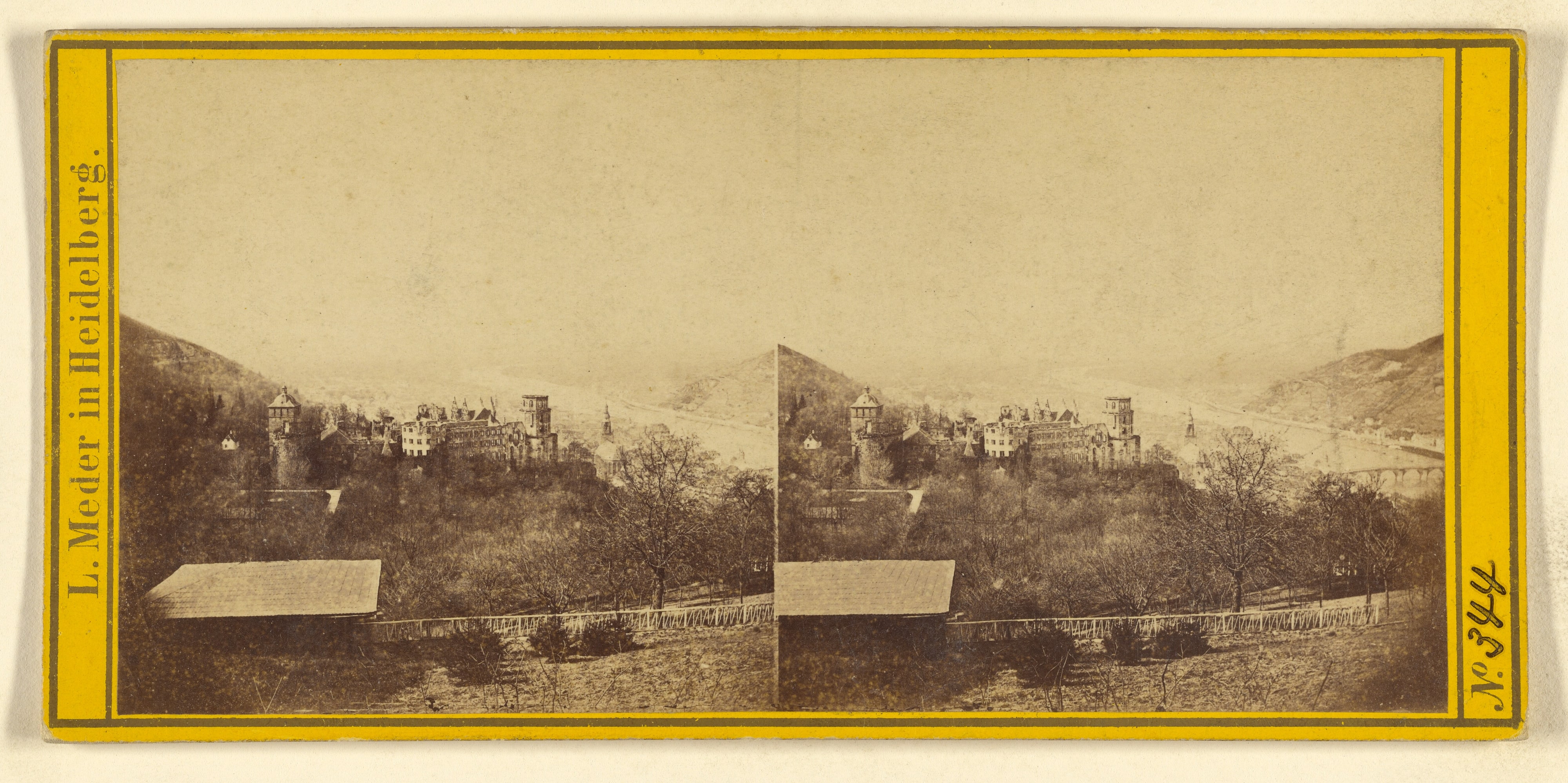 [View of Heidelberg Castle, Germany]