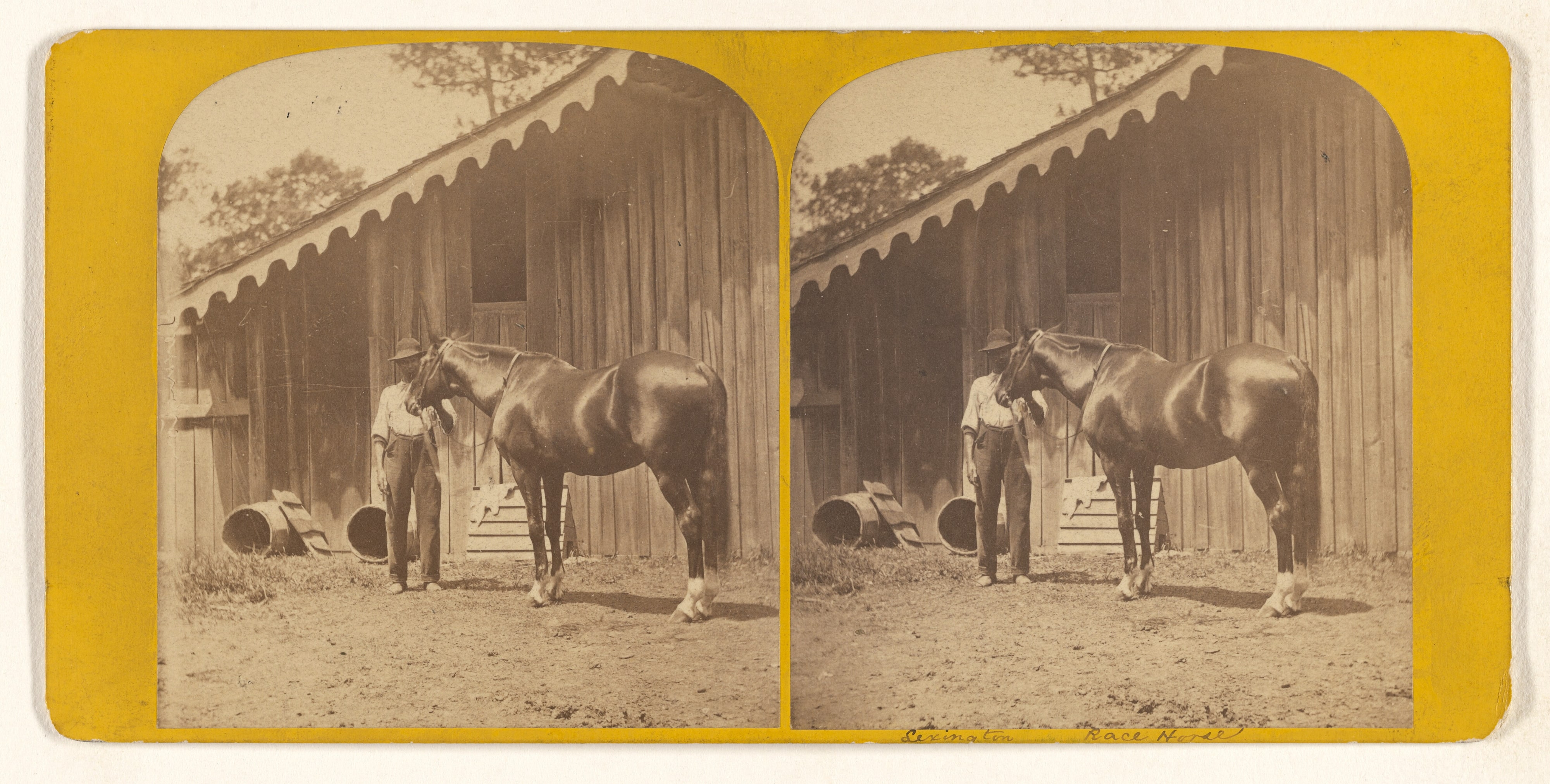 "Lexington." (Race Horse.) Alexander's Blooded Stock, Woodburn, Ky.