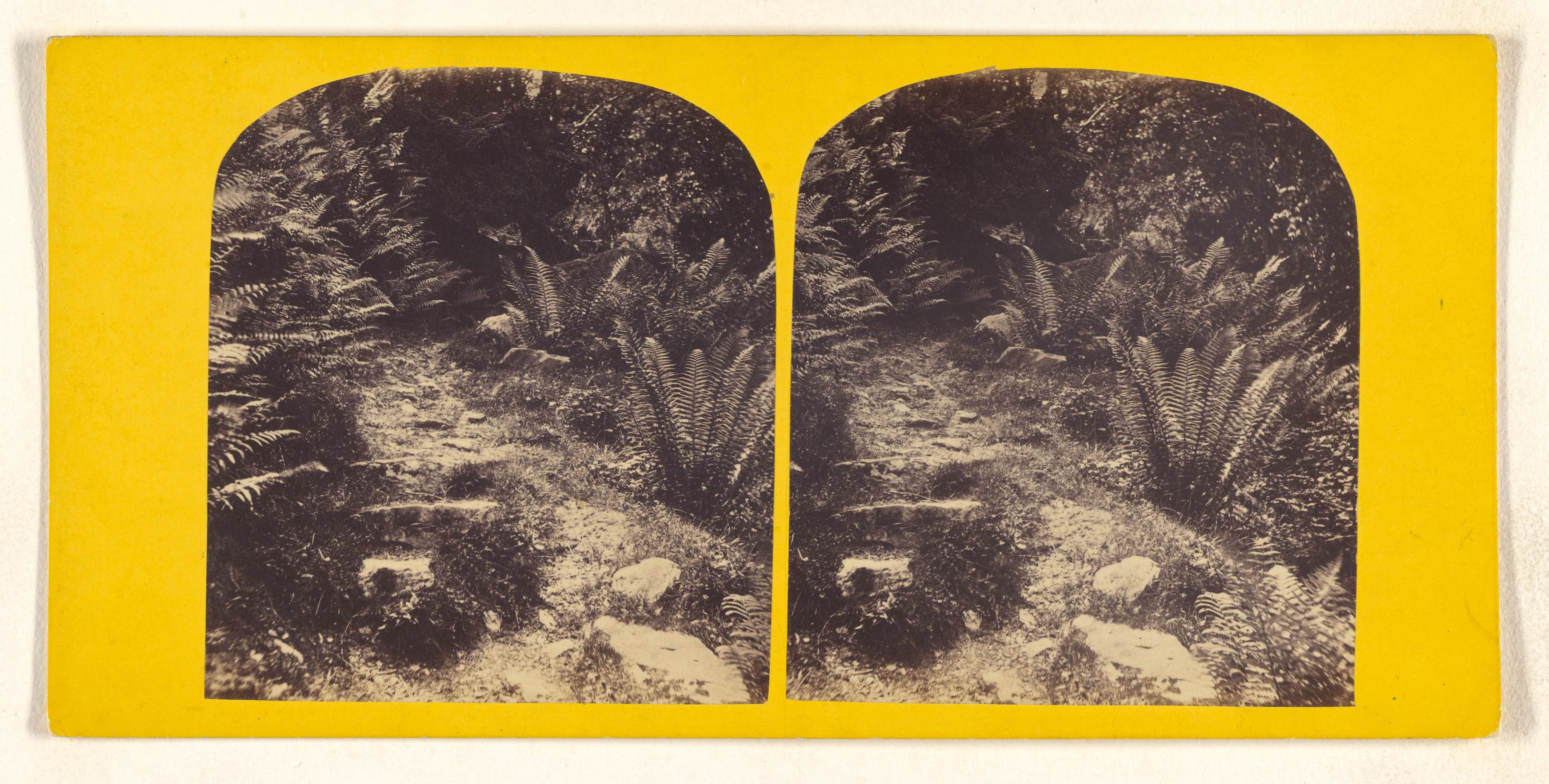 View on the West Lynn, Lynton, N.D.
