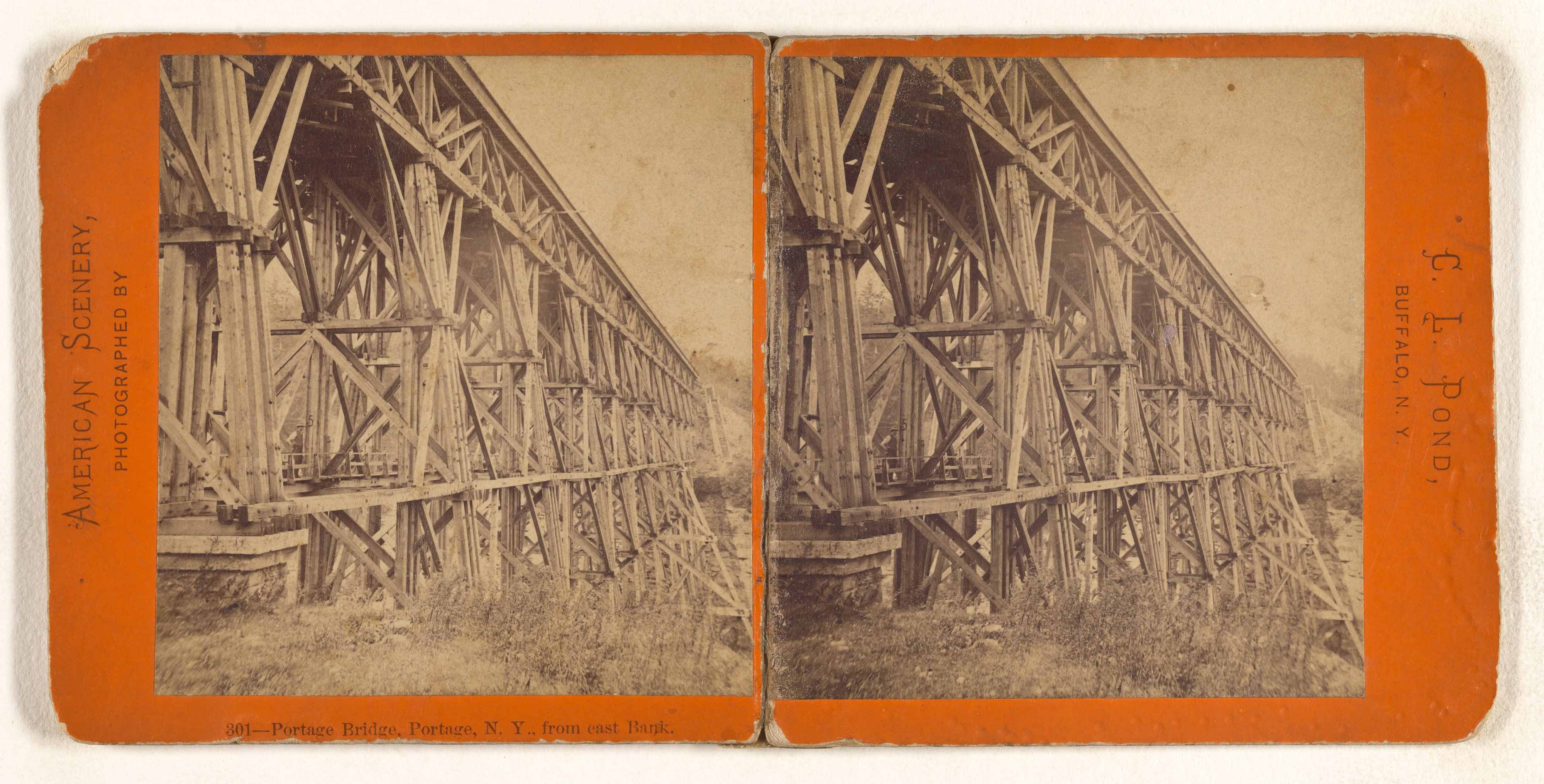 Portage Bridge, Portage, N.Y., from east Bank.