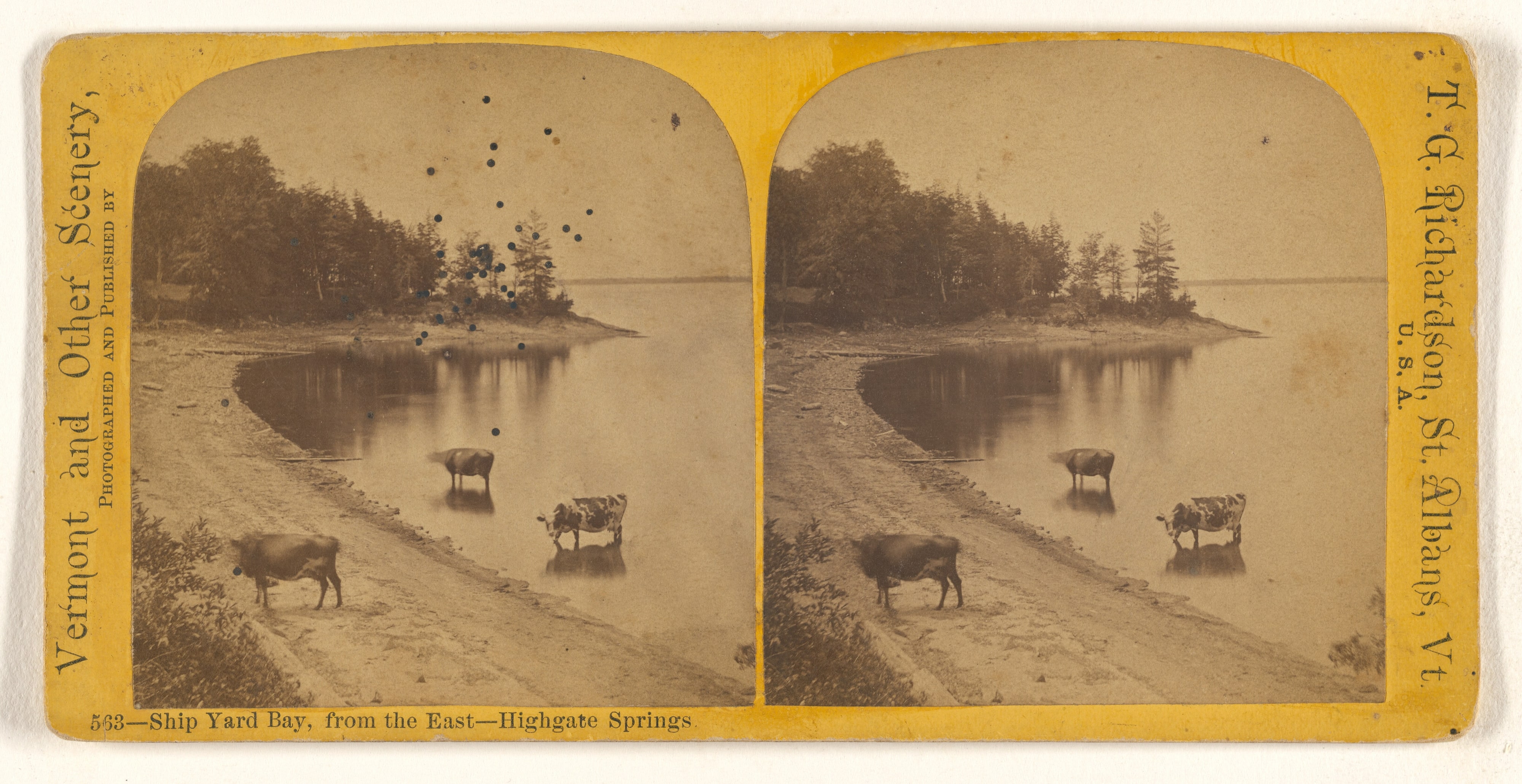 Ship Yard Bay, from the East - Highgate Springs [Vermont]